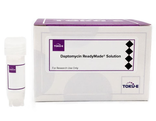 Daptomycin ReadyMade™ Solution