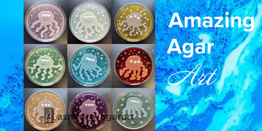 Stunning Agar Art: Microbiology in Space