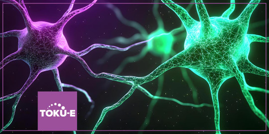 Doxycycline induces ion channel expression in neurons