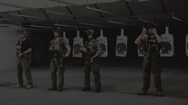 Holsters