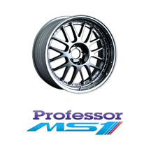 Professor MS1