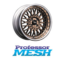 Professor MESH