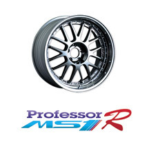 Professor MS1 R