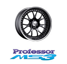 Professor MS3