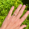 Great Lakes Sand Ring