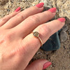 5 Great Lakes sand ring