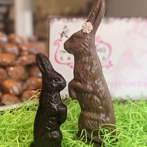 small and large "Standing Bunny" in milk and dark chocolate