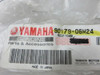 Yamaha V27 New Genuine OEM Nut 90179-06M24 QTY2