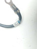 07 Triumph Daytona 675 Battery Terminal Cable Wire I