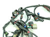 18 Harley Davidson Sportster Iron 1200 XL1200NS Main Wiring Wire Harness Loom