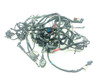 20 Harley Davidson Freewheeler FLRT Main Wiring Wire Harness Loom