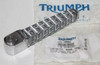 TRIUMPH NEW OEM REAR FOOTPEG T2081627