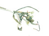 97 Suzuki TL1000 S Main Wire Wiring Harness Loom 97 Suzuki TL1000 S Main Wire Wiring Harness Loom