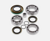 All Balls ATV Rear Differential Bearing and Seal Kit 22-52086