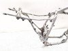 94-25 Honda XR650L Main Frame Chassis STRAIGHT CLN
