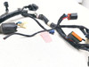 17-23 Kawasaki BR125 Z125 Pro Main Wiring Wire Harness Loom 25031-27320
