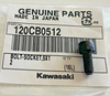 Kawasaki ZX900,ZG1000, ZX1000, VN1500 Socket Bolt 5X12 NOS 120CB0512 QTY 4