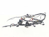 19-25 Indian FTR 1200 Main Wiring Wire Harness Loom