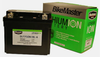 BikeMaster Lithium Ion Battery DLFP50N18L-A 780631