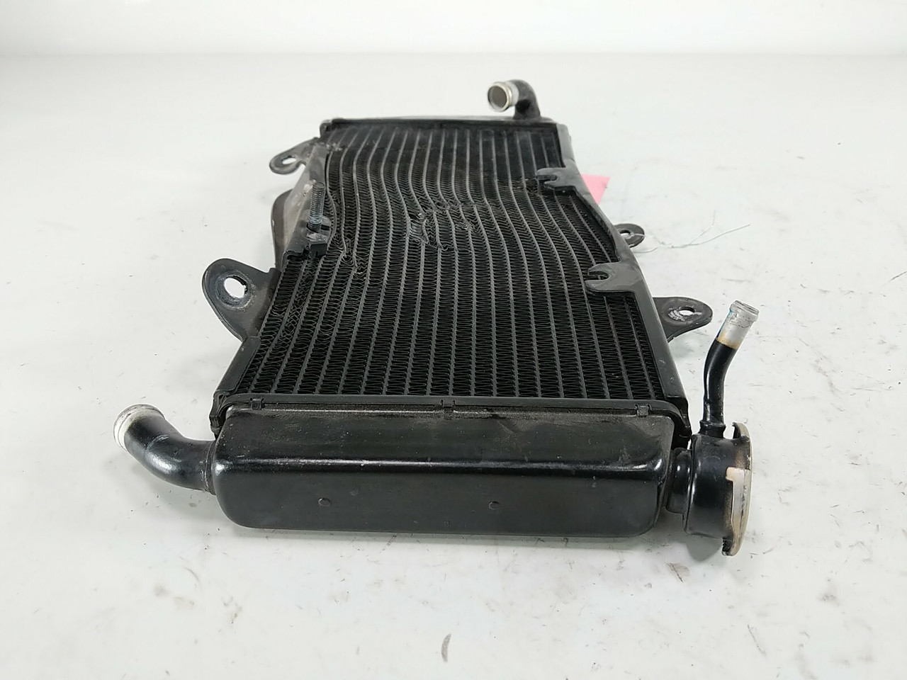 19 Husqvarna Svartpilen 401 Radiator Damage - Sun Coast Cycle