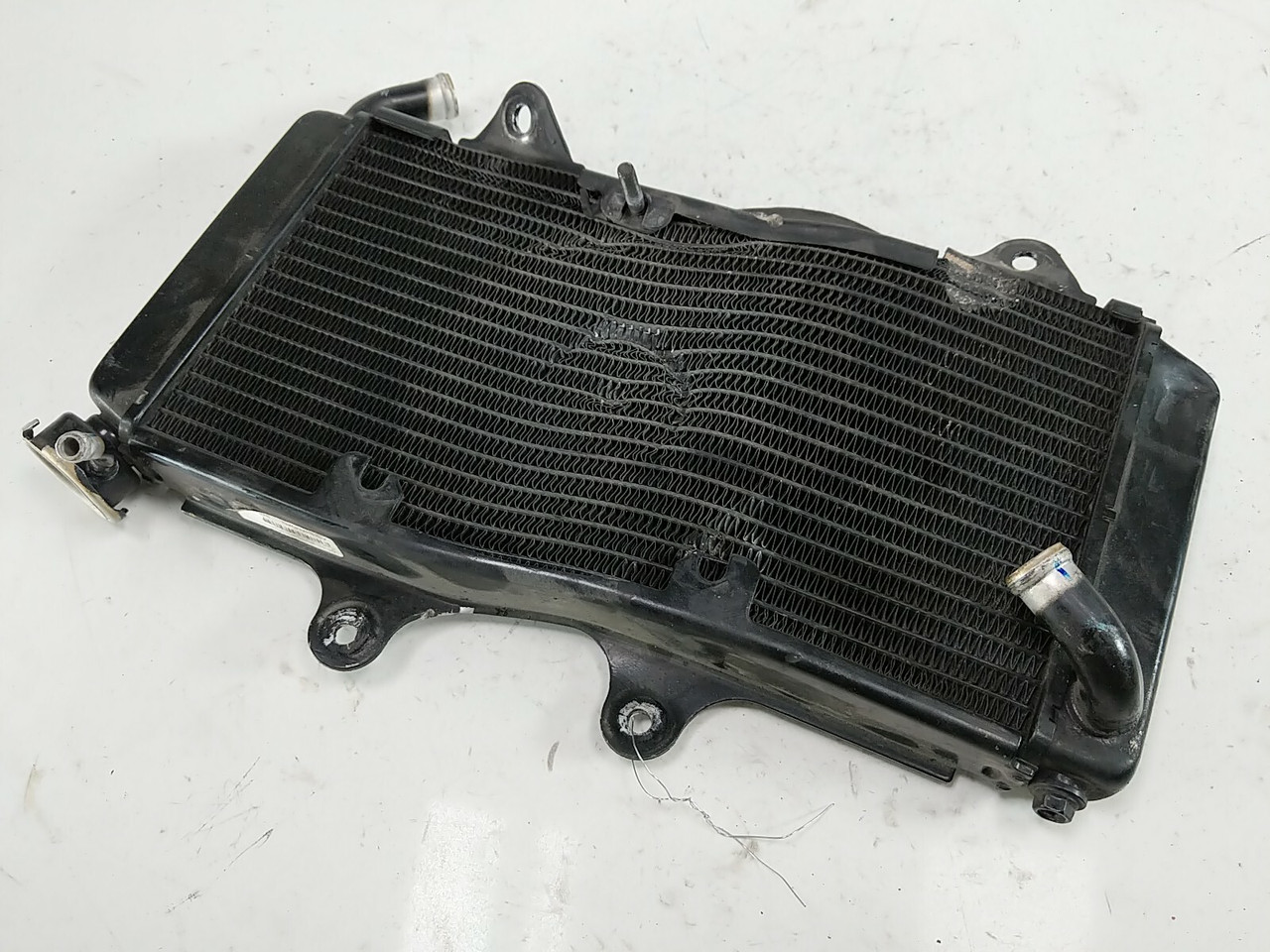 19 Husqvarna Svartpilen 401 Radiator Damage - Sun Coast Cycle