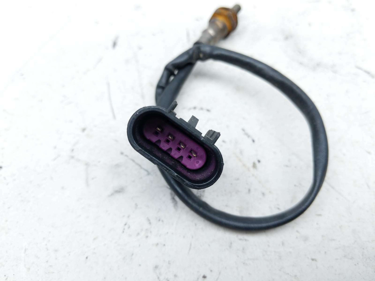 ① 16 Indian Scout O2 Oxygen Sensor (A) - Sun Coast Cycle