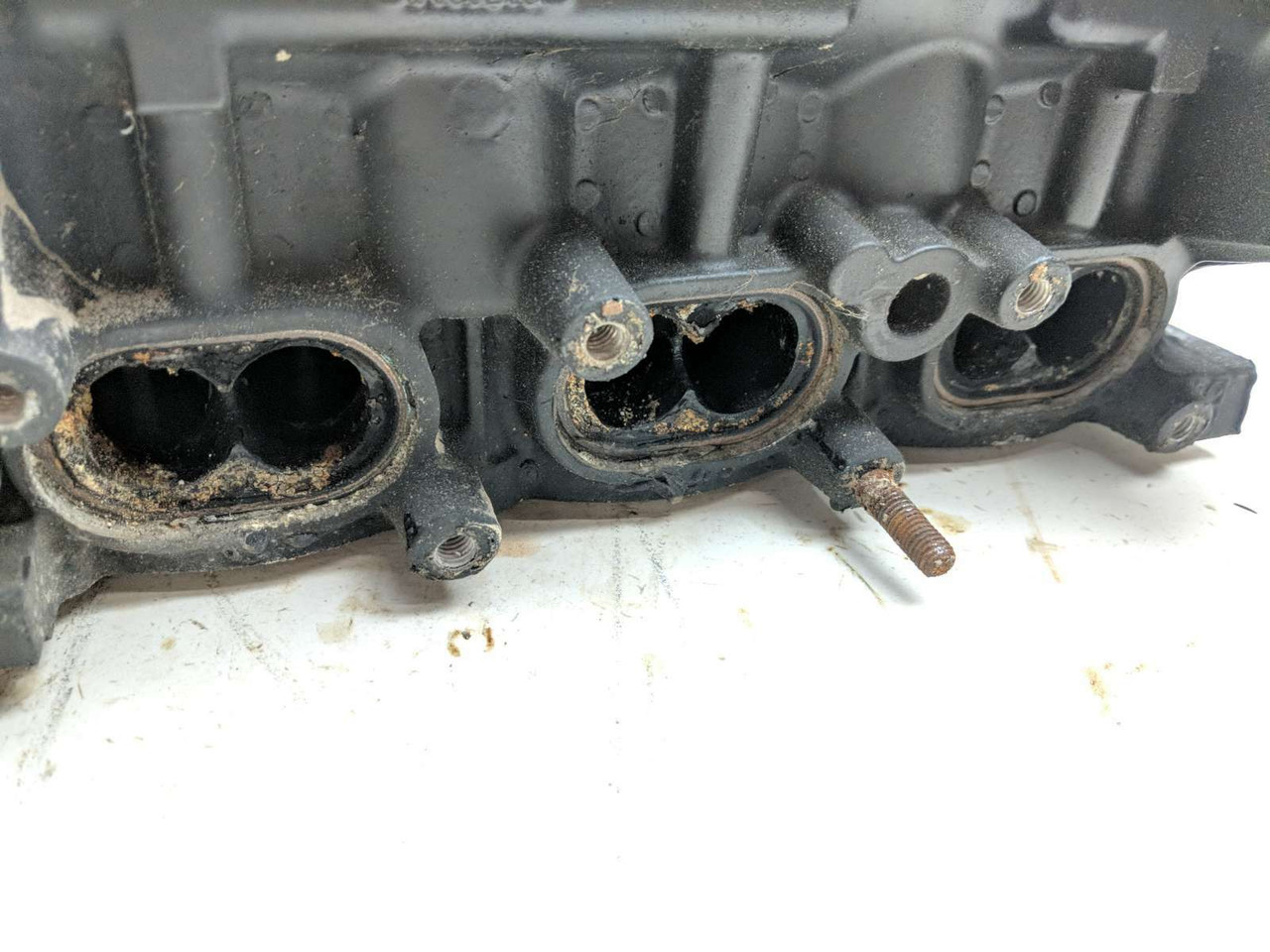 08 Triumph Tiger 1050 Engine Motor Cylinder Head - Sun Coast Cycle