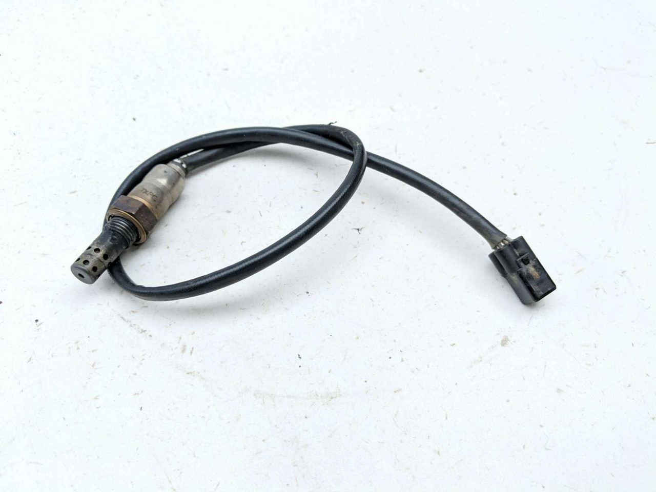 18 Triumph Tiger 800 XCX O2 Oxygen Sensor - Sun Coast Cycle Sports