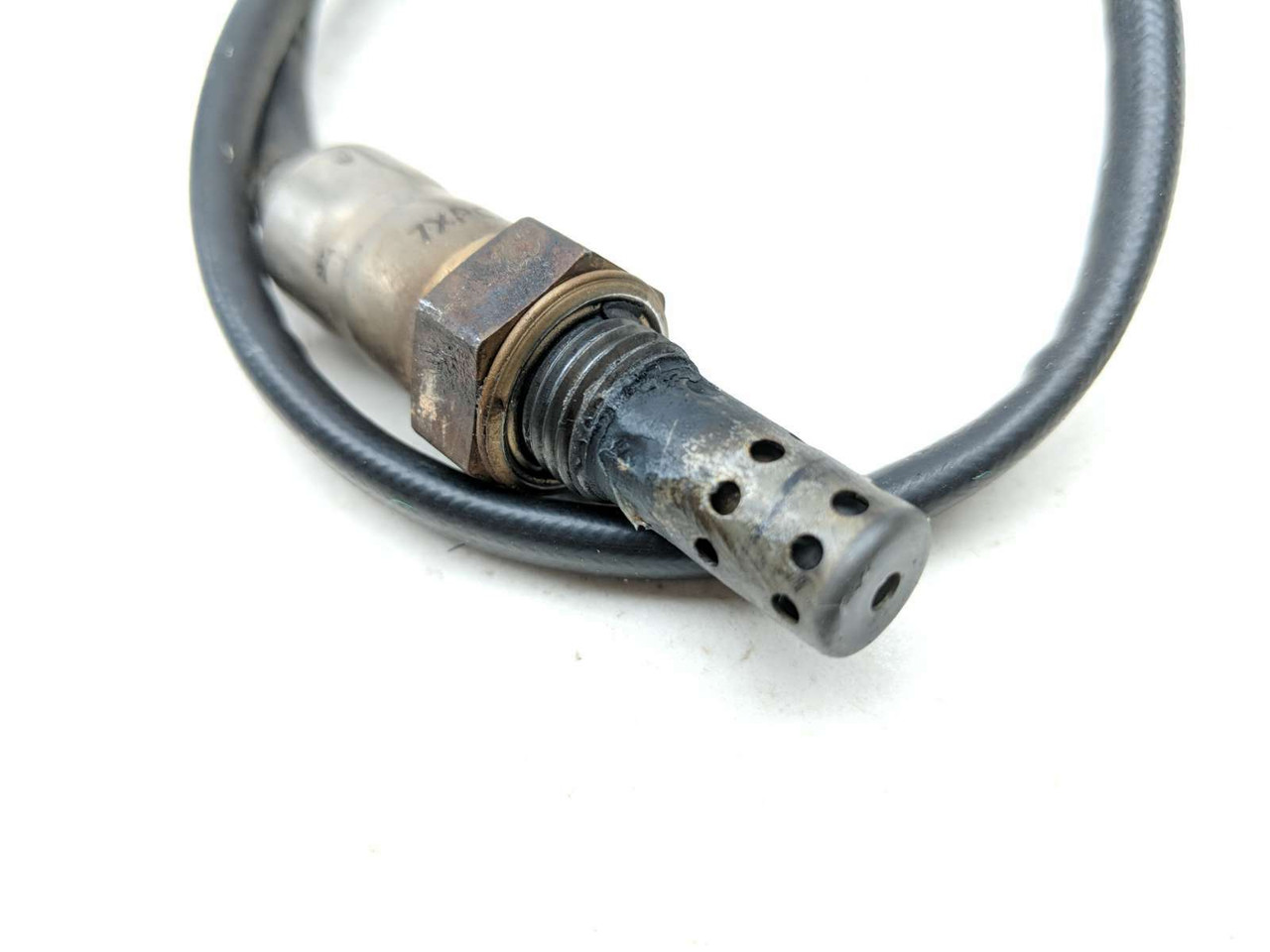 18 Triumph Tiger 800 XCX O2 Oxygen Sensor - Sun Coast Cycle Sports