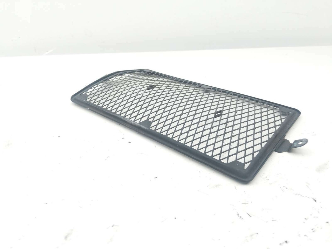 T100 Radiator Guard 17 Triumph Bonneville T100 Radiator Cover Guard Screen Grille - Sun ...
