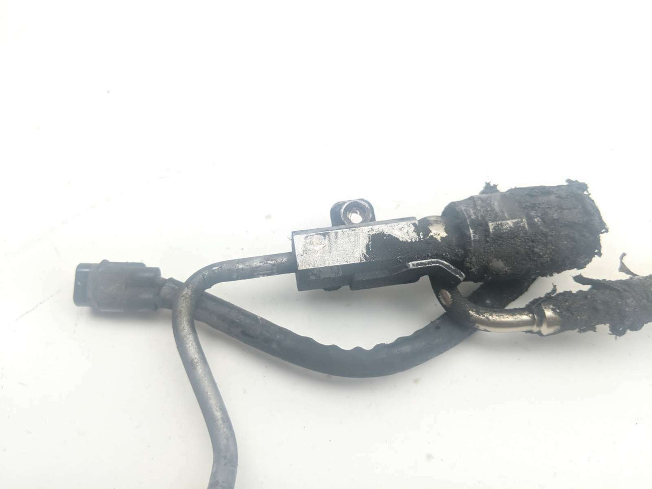 19 Triumph Bonneville Speed Twin Brake Line Hose ABS (A) - Sun