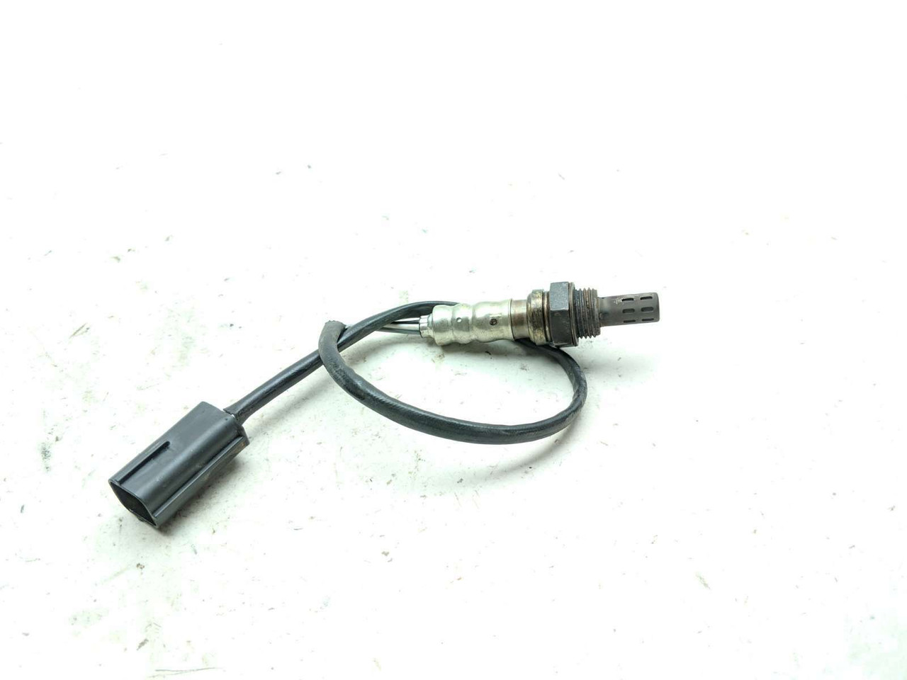 16 Ducati Scrambler O2 Oxygen Sensor B - Sun Coast Cycle Sports