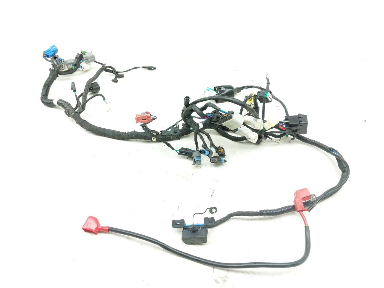 22 CF Moto CF125 Papio Main Wiring Wire Harness Loom - Sun Coast