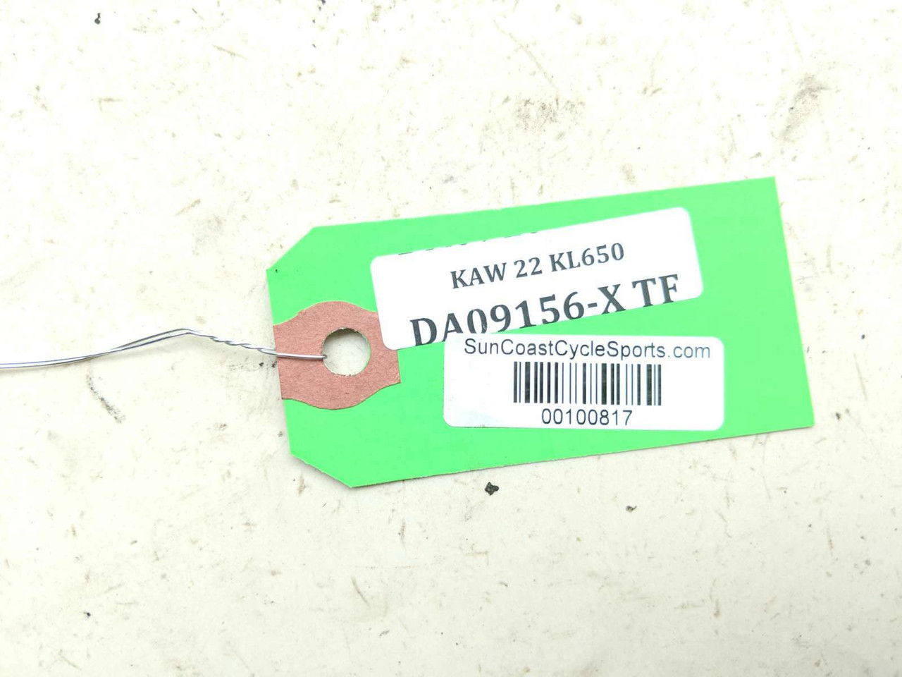 ゴロゴロ 感覚を育てよう！コロコロ発見 キツネ | Fisher-Price | mattel