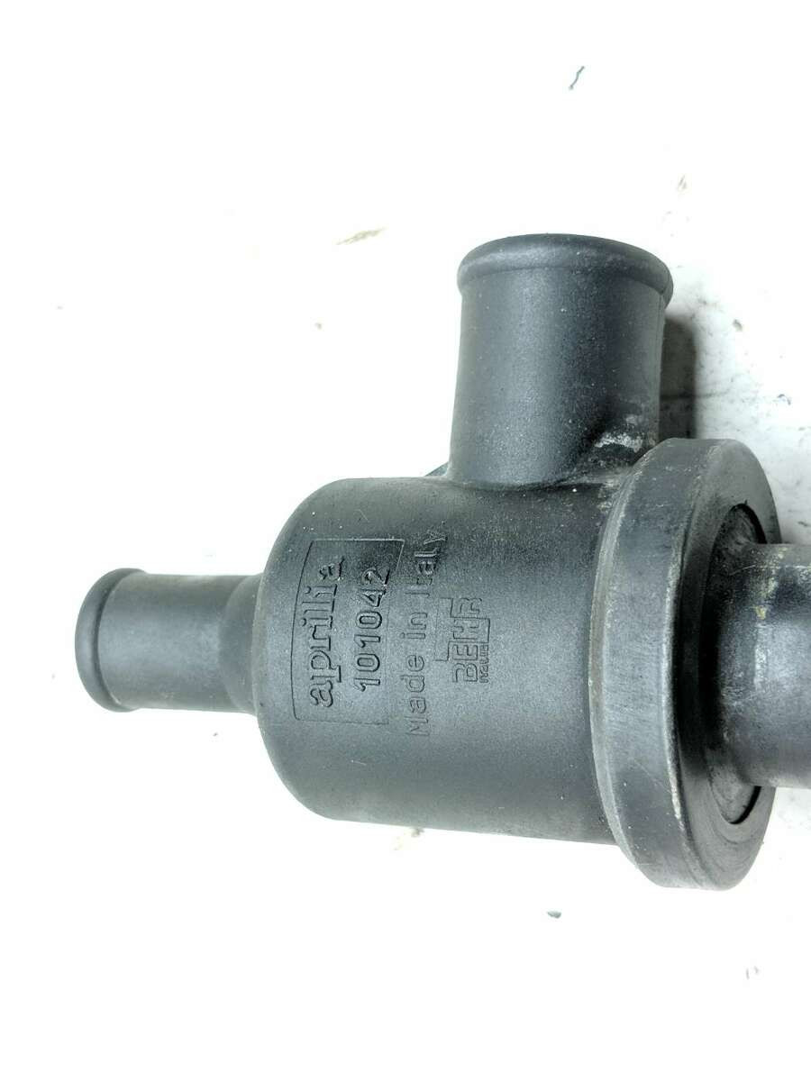 TIEMPO est.1984 取替式 15mis_c-smo-0161_1_grande.jpg?