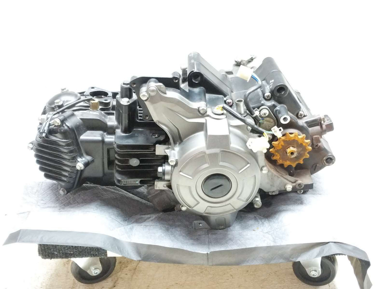 Z125pro ミッション　エンジン 22 Kawasaki BR125 Z125 Pro Engine Motor GUARANTEED - Sun Coast
