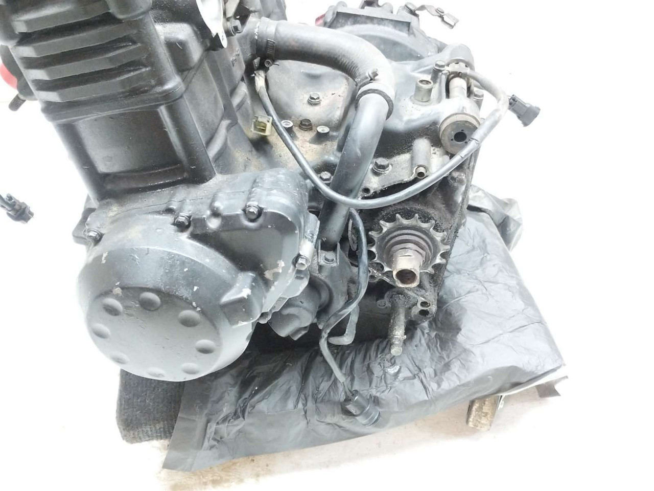 04-06 Kawasaki Z750 Engine Motor - Sun Coast Cycle Sports | Used