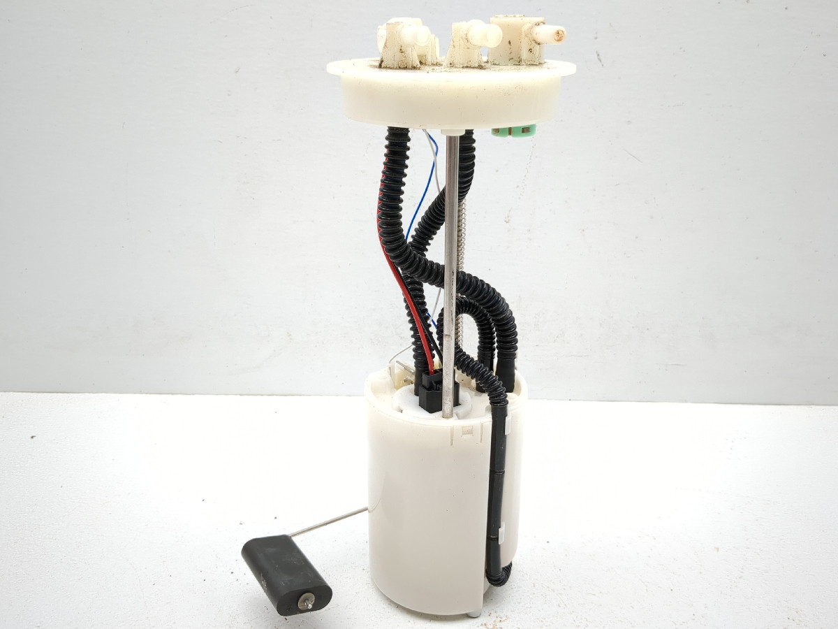 18-23 Massimo Buck 450 Petrol Gas Fuel Pump Assembly 47605