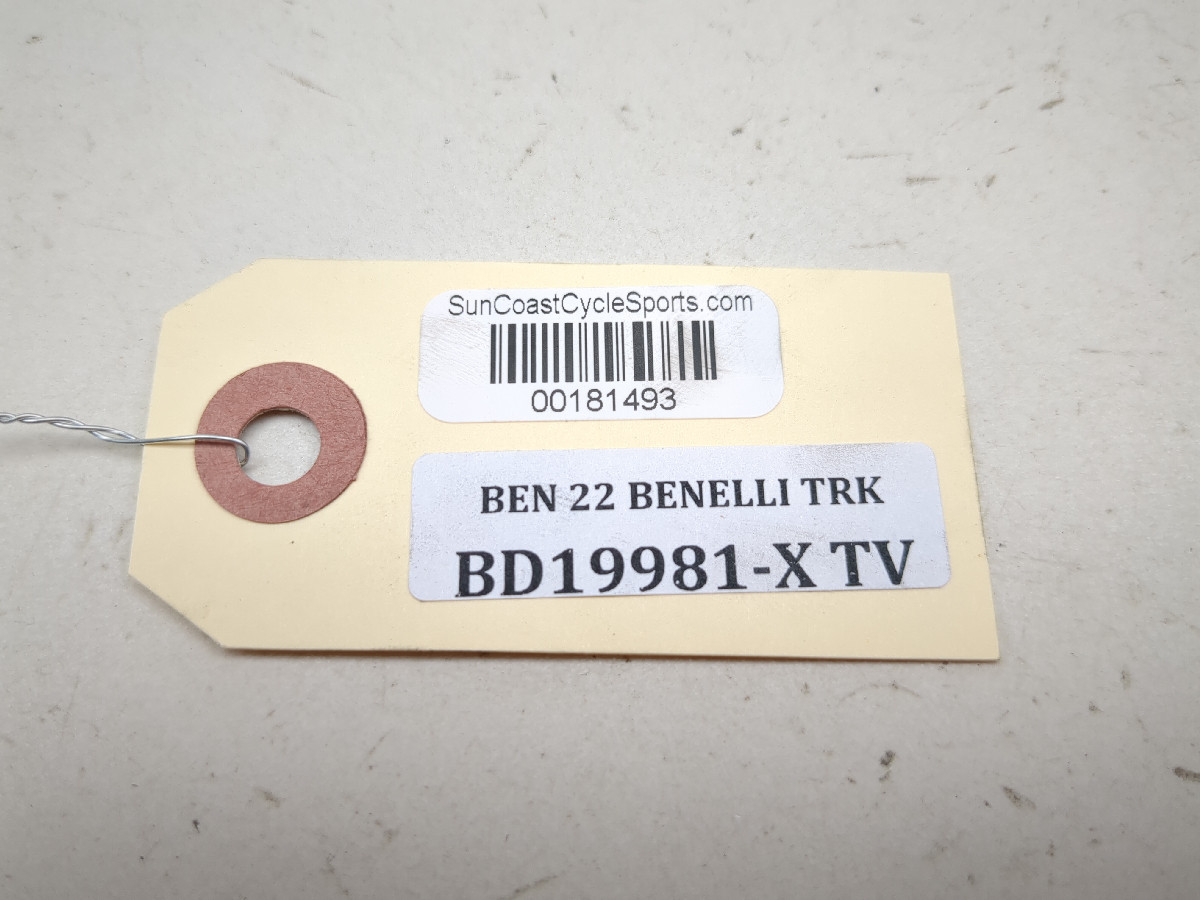 17-25 Benelli TRK 502X Rear Wheel Swing Arm Frame - Sun Coast