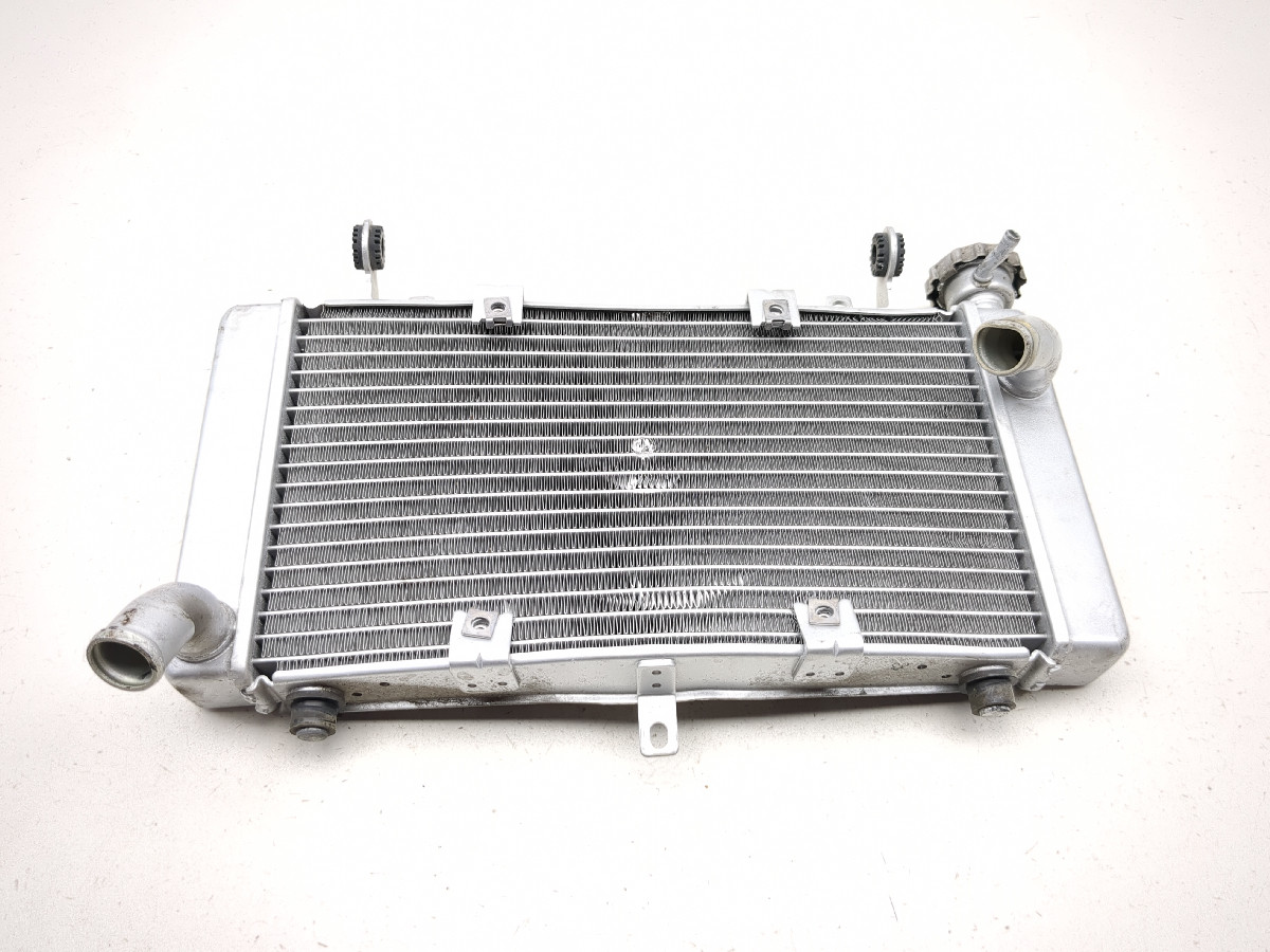 17-25 Benelli TRK 502X Engine Motor Radiator 5000021 - Sun Coast