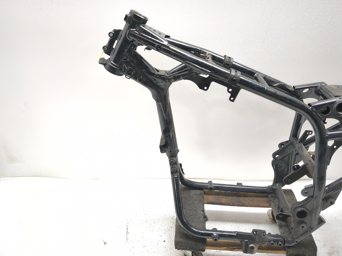 18-25 Suzuki GSX250R GSX 250 Main Frame Chassis STRAIGHT SLVG