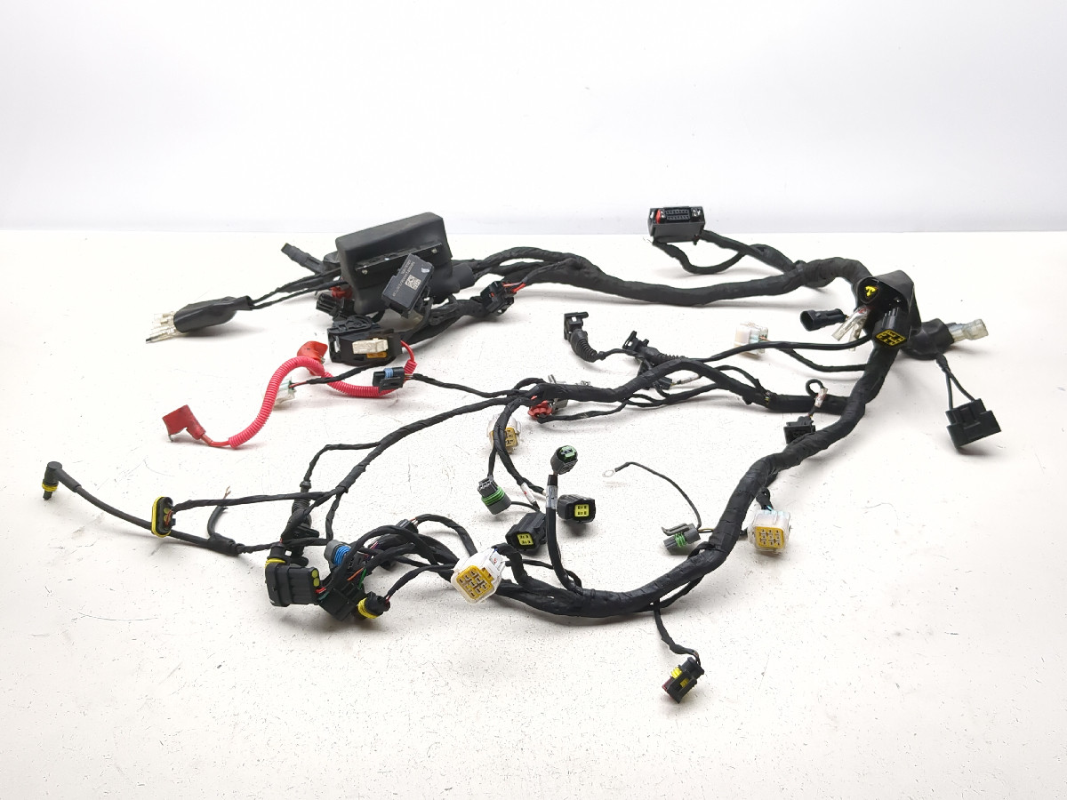 21-23 Benelli Leoncino 500 Main Wiring Wire Harness Loom - Sun