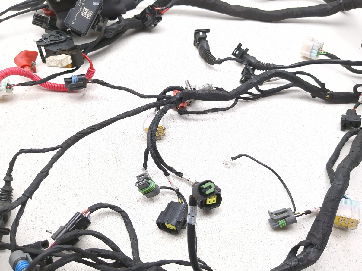 21-23 Benelli Leoncino 500 Main Wiring Wire Harness Loom - Sun
