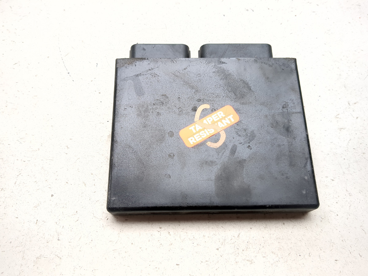 SHOKICHI ネーム！ 06 Kawasaki Ninja ZX14 ZX1400A Main Frame Chassis STRAIGHT SLVG