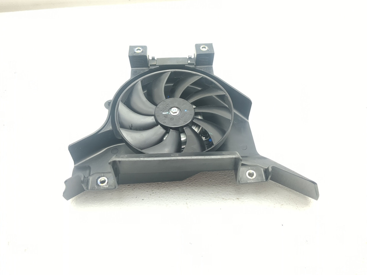 24 25 Kawasaki Z500 Radiator Cooling Fan - Sun Coast Cycle Sports