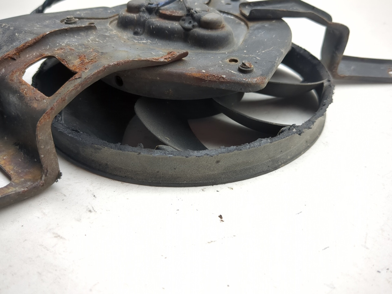 05 06 Kawasaki ZX6 ZX 636 Radiator Cooling Fan - Sun Coast Cycle