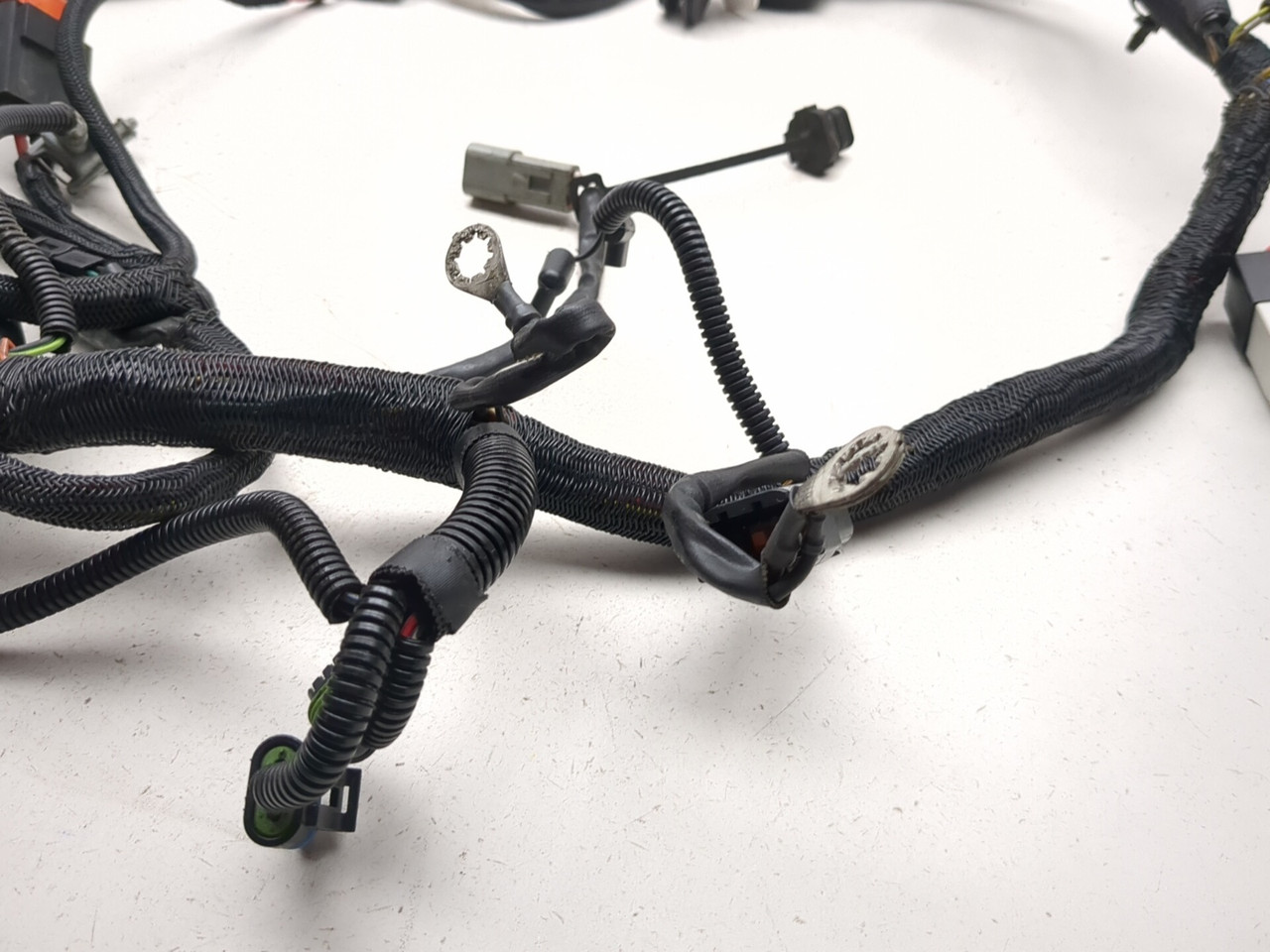 06-08 Harley Night Rod VRSCD Main Wiring Harness 70125-06 - Sun