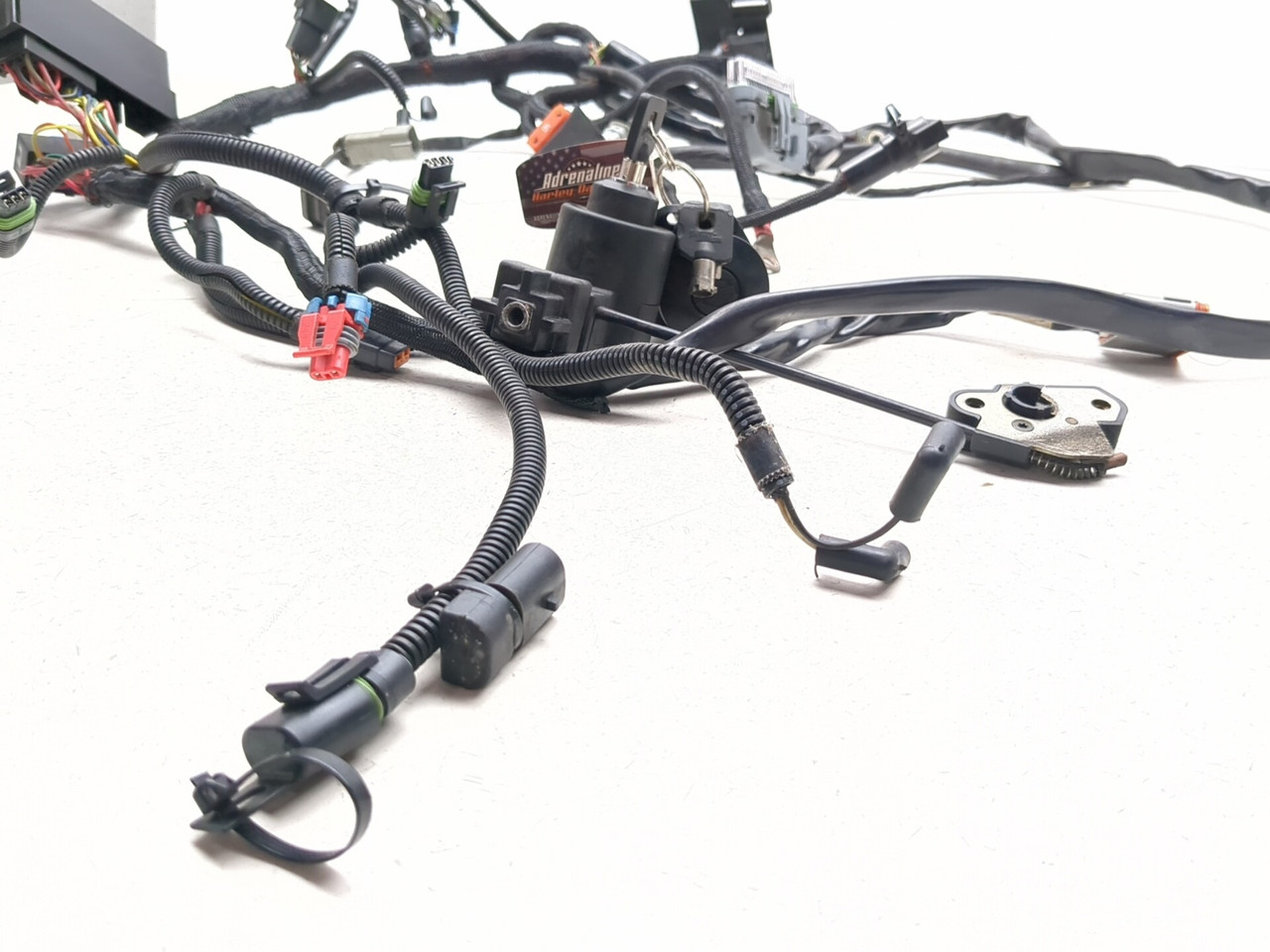 06-08 Harley Night Rod VRSCD Main Wiring Harness 70125-06 - Sun