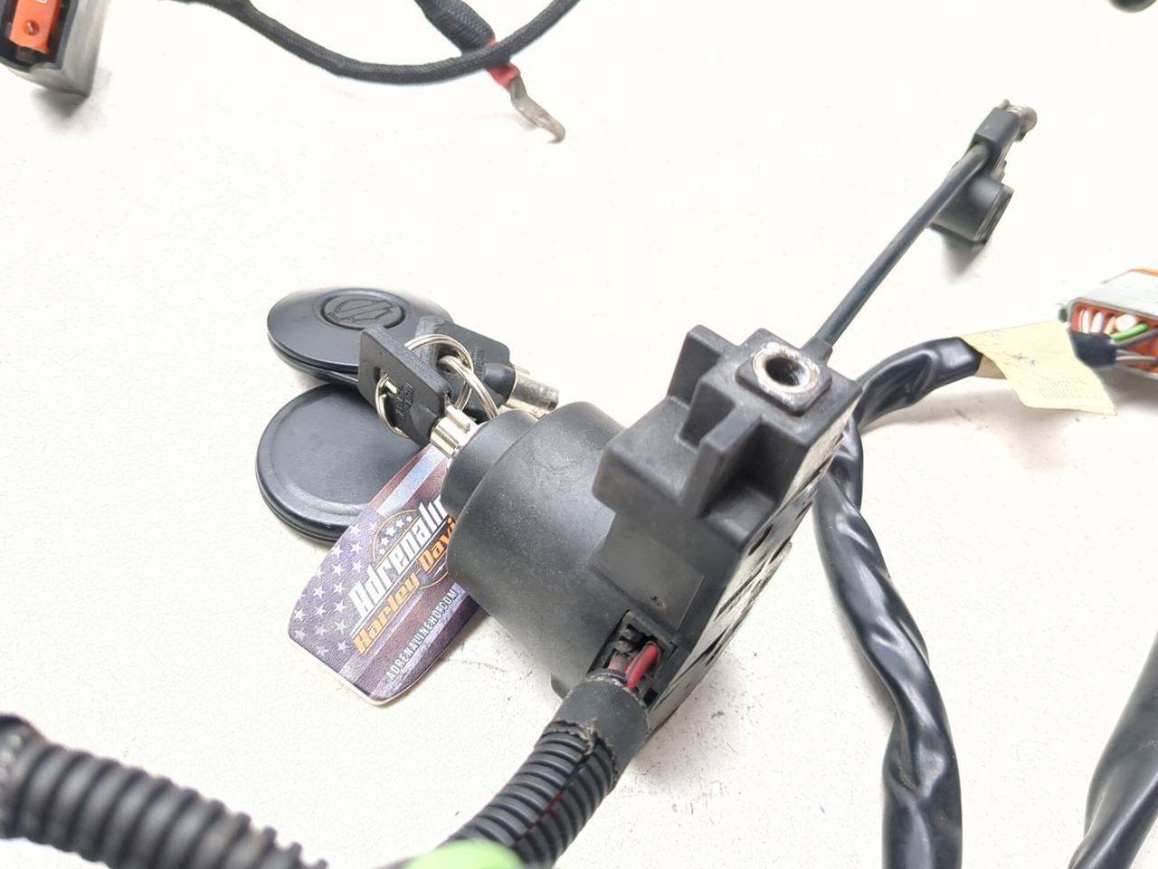 06-08 Harley Night Rod VRSCD Main Wiring Harness 70125-06 - Sun