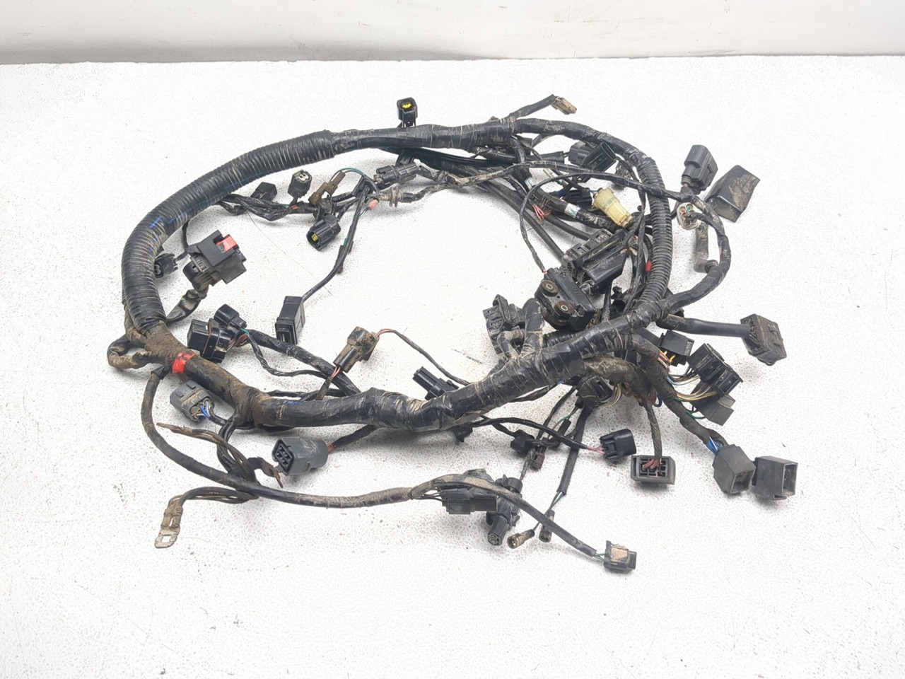 17-19 Triumph Tiger 800 XCX Main Wiring Harness Wire Loom